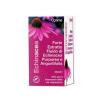 Echinacea Estratto Forte 50ml