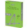 INTERNATIONAL PAPER Carta colorata A4 International Paper Rey Adagio 160 g/m² verde intenso 52 - Risma da 250 fogli - ADAGI160X457