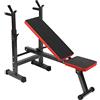 Wiltec Panca Piana con Porta manubri e Imbottitura Panca Pesi per l'Allenamento Max 300 kg