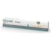 drn URYVET CAT PASTA 15ML