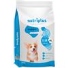 Nutriplus Prezzo speciale! 3 kg / 15 kg Nutriplus Crocchette per cane - 3 kg Puppy