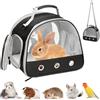 BORDEAG Piccola borsa per animali domestici, borsa per il trasporto di piccoli animali, con apertura laterale, borsa per il trasporto per porcellini d'India, pieghevole, trasportino per cani, per uccelli