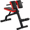 SPORTNOW panca pesi, panca da allenamento multifunzionale, panca fitness pieghevole, capacità di carico fino a 120 kg, per casa, bicipiti, bilanciere, acciaio, nero