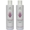 Benessence- Shampoo Bio Antiforfora e Anti Prurito con Aloe Vera, Piroctone olamine e Ortica - 2 x 250ml