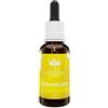 Green Remedies Concentration Essence Australian 30 Ml