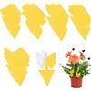 QEEROYO 50Pcs Trappola per Mosche, Insetti Mosche Trappole, Giallo due Lati Adesivi Trappole Appiccicose,Flycatcher per Insetti Volanti, Cimici, Zanzare, Afidi, Ideale per Piante Sul Balcone o in Giardino