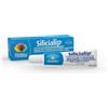 FITOBIOS Srl Fitobios Silicialip Coadiuvante per l'Herpes Labiale, 10ml