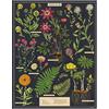 CAVALLINI & CO. Cavallini Papers & Co. Herbarium - Puzzle da 1000 pezzi, multicolore