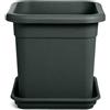 Erba Vaso Decor quadro cm 42 antracite