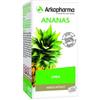 ARKOFARM ARKOCPS ANANAS GAMBO 45CPS