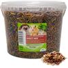 UGF Underground Food UGF - Mix di insetti, secchio da 3 litri ≈ 500 g, cibo per ricci, gerbilli, criceti, ratti, lucertole - vermi della farina, larve di mosca soldato, bachi da seta