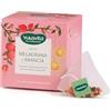 Neavita Nevita Infuso Melagrana e Arancia 15 Filtri