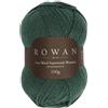 Rowan Pure Wool Superwash Worsted Verdant - Filato di lana 100% - 100 g
