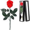 Raxfekro Regali per mamma Infinity Rose in confezione regalo con rose artificiali come vera rosa eterna liofilizzata, regalo per San Valentino, Natale, festa della mamma, compleanno