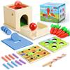 COOLJOY Giochi Bambini 2 Anni | Giochi Montessori 2 Anni | 4 in 1 Far Cadere la Palla, Scatola di Monete, Raccolto delle Carote, Giocattolo per Vermi Catturati | Regalo Bambino 3 2 1Anni