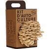 Resetea - Kit di auto-coltivazione - Funghi ostrica su fondi di caffè riciclati Kraft | Regalo originale