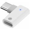 Panlouting Adattatore di Ricarica compatibile con Apple Pencil di Prima Generazione | Adattatore USB-C a 90 Gradi per iPad Pencil | Solo per Ricarica