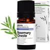 Aroma Labs - Rosmarino Cineolo BIO - Olio Essenziale Chemiotipizato e Certificato AB - 5 mL