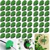 weiclianhp 40 Clip Autoadesive per Piante Rampicanti con 3 Fogli Adesivi - Supporto Parete da Giardino per Piante Vitisicole, Sostegno Steli per Piante Rampicanti Indoor/Outdoor