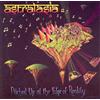 Magick Eye (Efa) Pitched Up at the Edge of Re..
