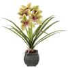 Flair Flower Orchidea artificiale al cymbidium, 40 cm, con foglie e radici d'aria, in vaso in ceramica, orchidea artificiale, orchidea phalaenopsis con vaso artificiale, decorazione per matrimonio, fiore di seta