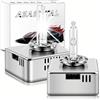 Asasytal D5S Xenon HID Fari Anteriori 6000K, 12V 35W Luce Bianca, XENARC Originale Lampadina D5S Xenon 66540 12410C1 PK32d-7 Lampadine di Ricambio, 2 Pezzi