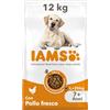 IAMS Cibo secco per cani anziani taglia grande con pollo, 12 kg