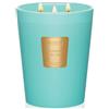 M&SENSE candele profumate Aria di Mare Estiva, candela profumata che evoca fresche emozioni marine e serate estive piene di luce, ideale per esclusivo regalo perfetto per le donne, 990g,Fino a 150 Ore