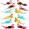 com-four® 12x Uccelli Decorativi - Uccelli Artificiali in 5 Disegni Colorati - Uccelli Decorativi con Piume e Clip in Metallo - Uccello Decorativo per la Decorazione (12 pezzi - set misto 01)
