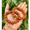 2 Pezzi Bracciale Naturale RUDRAKSHA 5 mukhi Rudraksh Regolabile Unisex Misur...