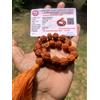 CERTIFICATO IN LABORATORIO Natural 5 Mukhi RUDRAKSHA Rudraksh Mala ROSARIO 27...