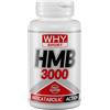 Why Sport Hmb 3000 90cpr