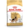 Royal Canin Breed Health Royal Canin German Shepherd Adult (Pastore Tedesco) - 11 kg - Croccantini per cani - 1° ORDINE? scegli lo sconto BZR5 / BZR20 + 200 punti fedeltà