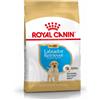 Royal Canin Breed Health Royal Canin Labrador Retriever Puppy - 12 kg - 1° ORDINE? scegli lo sconto BZR5 / BZR20 + 200 punti fedeltà
