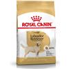Royal Canin Breed Health Royal Canin Labrador Retriever Adult (scadenza: 15/02/2026) - 12 kg - Croccantini per cani - 1° ORDINE? scegli lo sconto BZR5 / BZR20 + 200 punti fedeltà