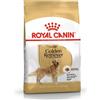 Royal Canin Breed Health Royal Canin Golden Retriever Adult - 12 kg - Croccantini per cani - 1° ORDINE? scegli lo sconto BZR5 / BZR20 + 200 punti fedeltà