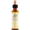 Bach Schwabe Fiori di Bach Original Wild Oat Omeopatico in Gocce 20 ml