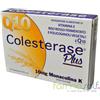 WP CORPORATE Srl Colesterase Plus 30 compresse