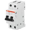 ABB SACE SPA Interruttore magnetotermico S202M C63 10KA 2P - ABB S543989