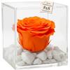 Premium-rose.com OneFlower by PREMIUM-ROSE - Cubo Rosa Stabilizzata 8 cm - Base con Scaglie Marmo di Carrara - Rosa Eterna Stabilizzata Idea Regalo Made in Italy - Arancione 1086
