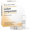 GUNA SpA Ledum Comp 10f 2,2ml Heel