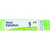 Boiron Srl Arum Triphyllum 5 Ch Granuli 1 Contenitore Multidose In Pp Da 4 G (80 Granuli) Con Tappo Dispensatore In Pp