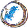 Link LKSC12PTS Set 12 Cavi Pigtail Fibra Ottica Colorati CONNETTORI SC SINGLEMODE SIMPLEX MT 1