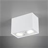 TRIO Leuchten Biscuit faretti, GU10, 613000231, Biscuit [Lampade per Interni > Punti Luce e Faretti]