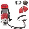 Blue Bird Honda GX 50 ZP - Decespugliatore a zaino a benzina 4 tempi - Asta Blue Bird