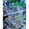 Pawfly Scatola per allevamento di pesci in plastica trasparente per piscina di pesce, incubatrice per pesce, gamberetti, piccola scatola isolante per pesci aggressivi