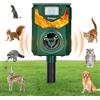 Risingor Repellente per Gatti, Ultrasuoni Solare Repellente Dissuasori per Piccioni con Luci LED, IP44 Impermeabile Ultrasound Repellente per Animali 5 Modalità Regolabile per Cani, Uccelli, Volpi, Topi