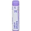BOIRON Srl LEDUM PALUSTRE BOI*30CH GL 1G
