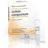 Guna Ledum Compositum 10 Fiale