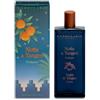 L'ERBOLARIO SB Srl Notte a Tangeri Eau De Parfum Unisex Agrumato Ambrato 100 ml - L'Erbolario